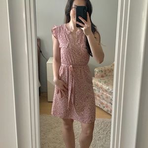 Pink Ruffle Sleeve Dress